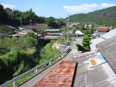 120-2049_IMG_medsm.jpg