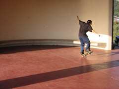 120-2094_IMG_medsm.jpg
