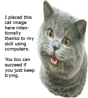 happycat0rb.gif